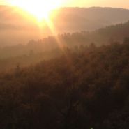 A Tuscan sunrise