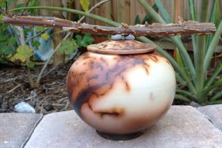 Full of Surprises Wild Nature Jar