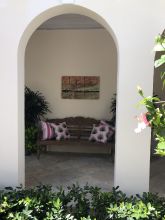 Bodhi Tree in Vero